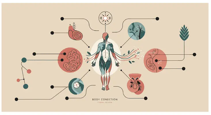 diagrama-corpo | Ocaszen | Equilíbrio de Corpo, Casa e Consciência Diagrama de um corpo com suas partes