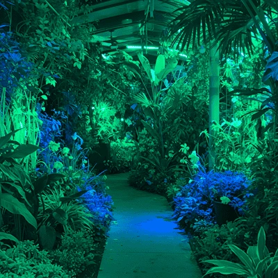 Jardim iluminado em tons verde e azul