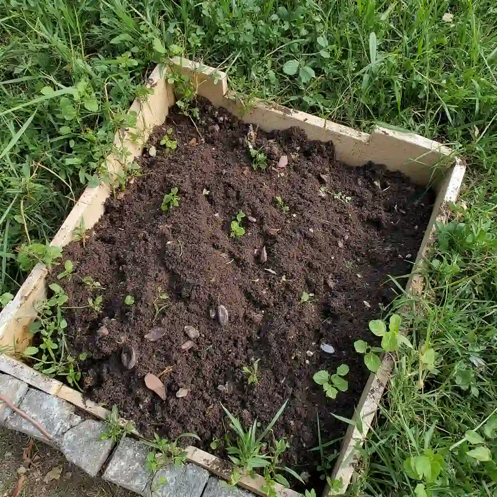 Kompostierung  organischen Abfällen