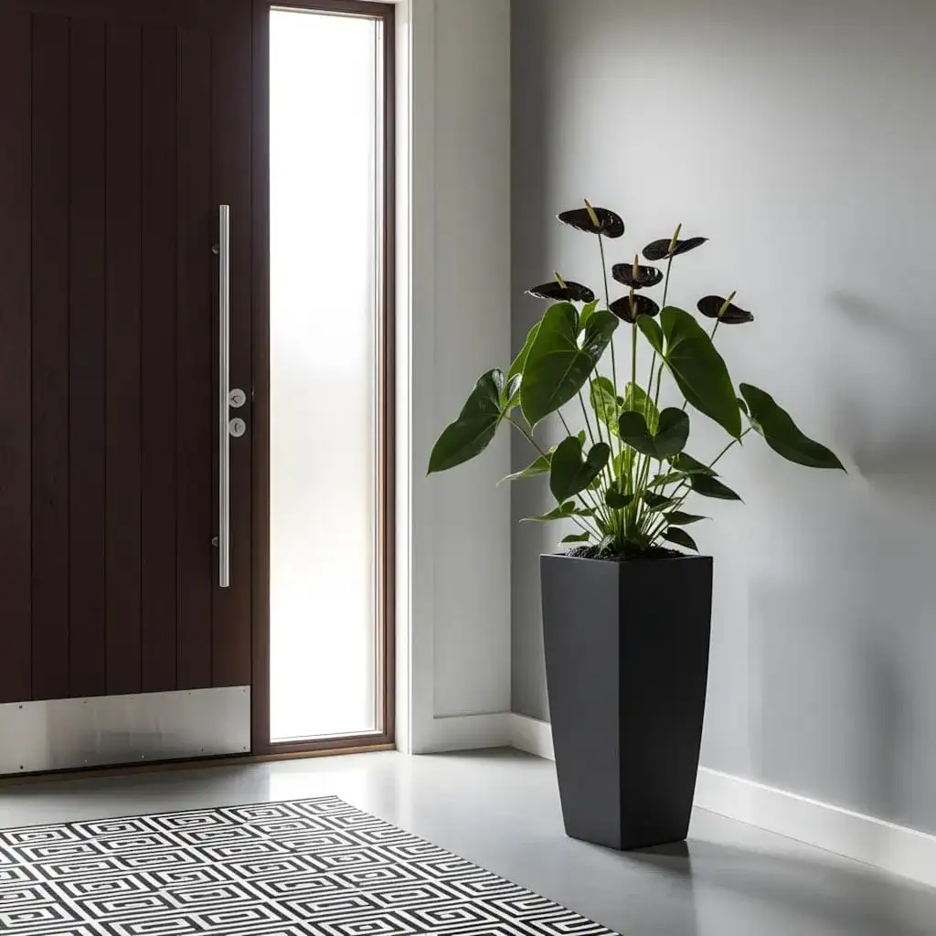 Casa Com Antúrio Preto