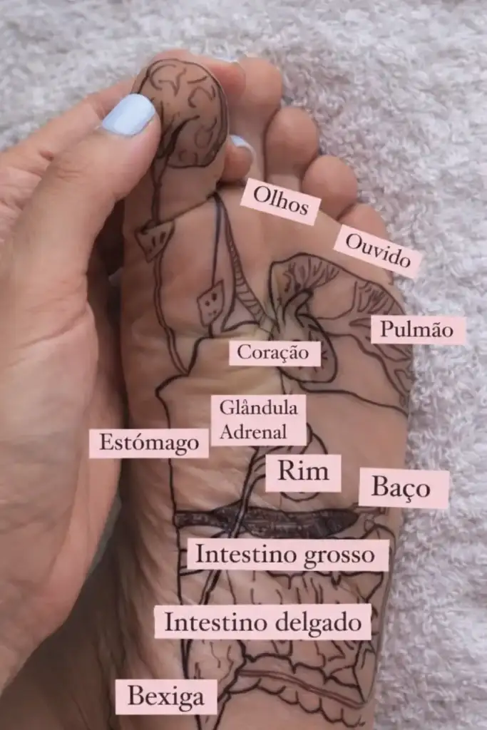 Mapa Dos Pontos De Reflexologia